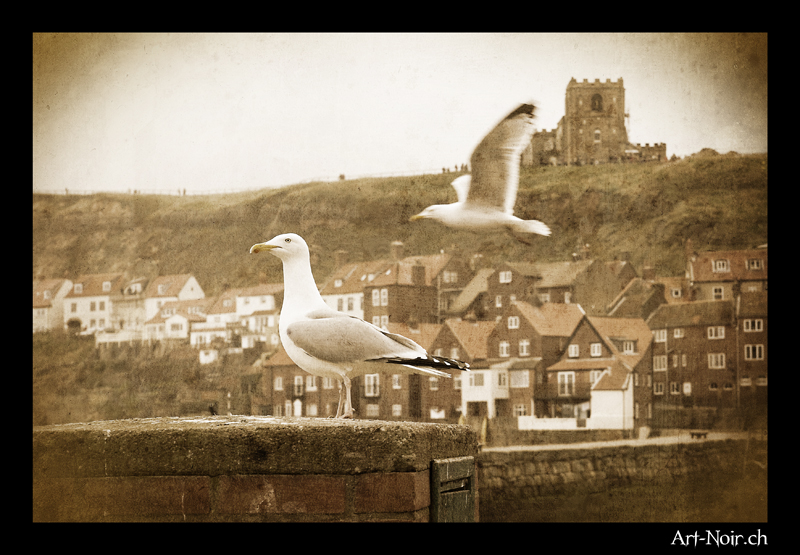 whitby-09