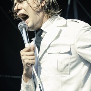 01-the-hives-5