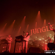 05_jungle-12
