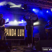 01_panda-lux-11
