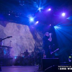 02-the-national_13