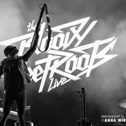 14-bloody-beetroots_01