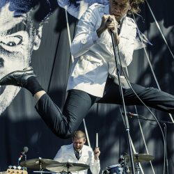 01-the-hives-2