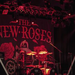 01_the-new-roses_01_0