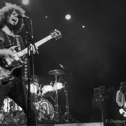 02-wolfmother-14
