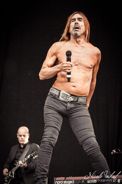 03-iggy-pop-13