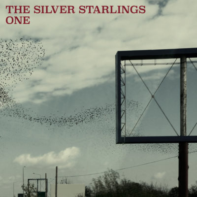 silver-starlings-one