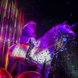 02-the-flaming-lips-10
