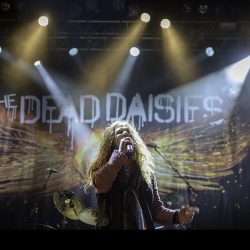 03-the-dead-daisies-015