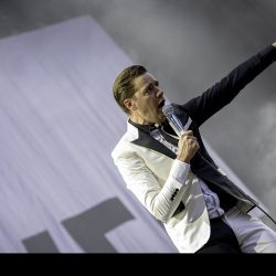 005-the-hives-003