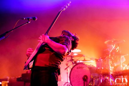 Foals