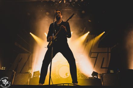 Royal Republic