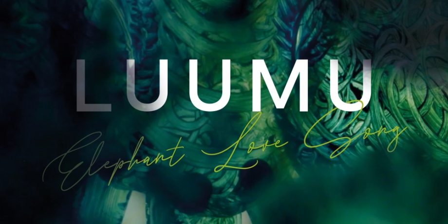 Luumu – Elephant Love Song