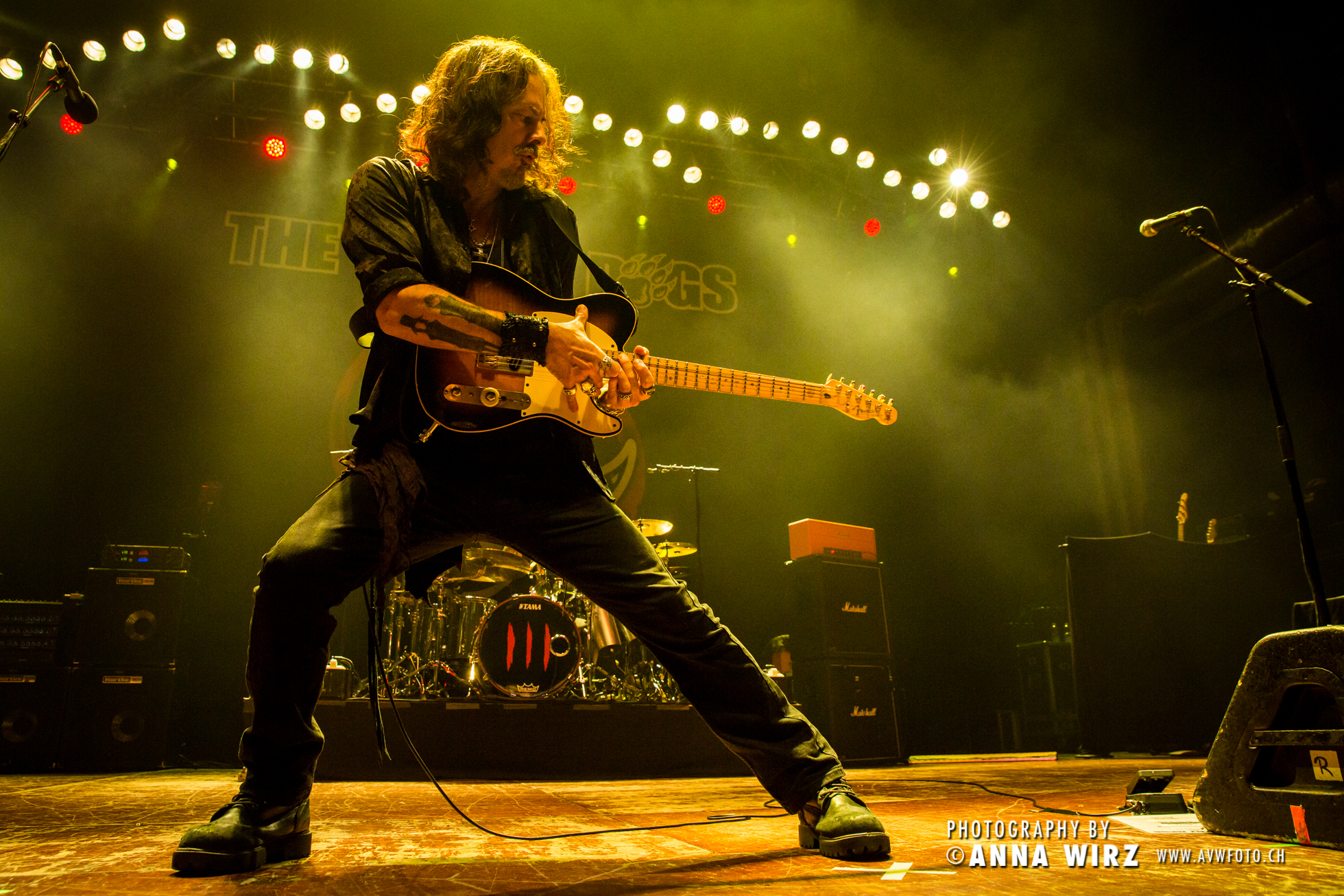 Fotoreportage | The Winery Dogs