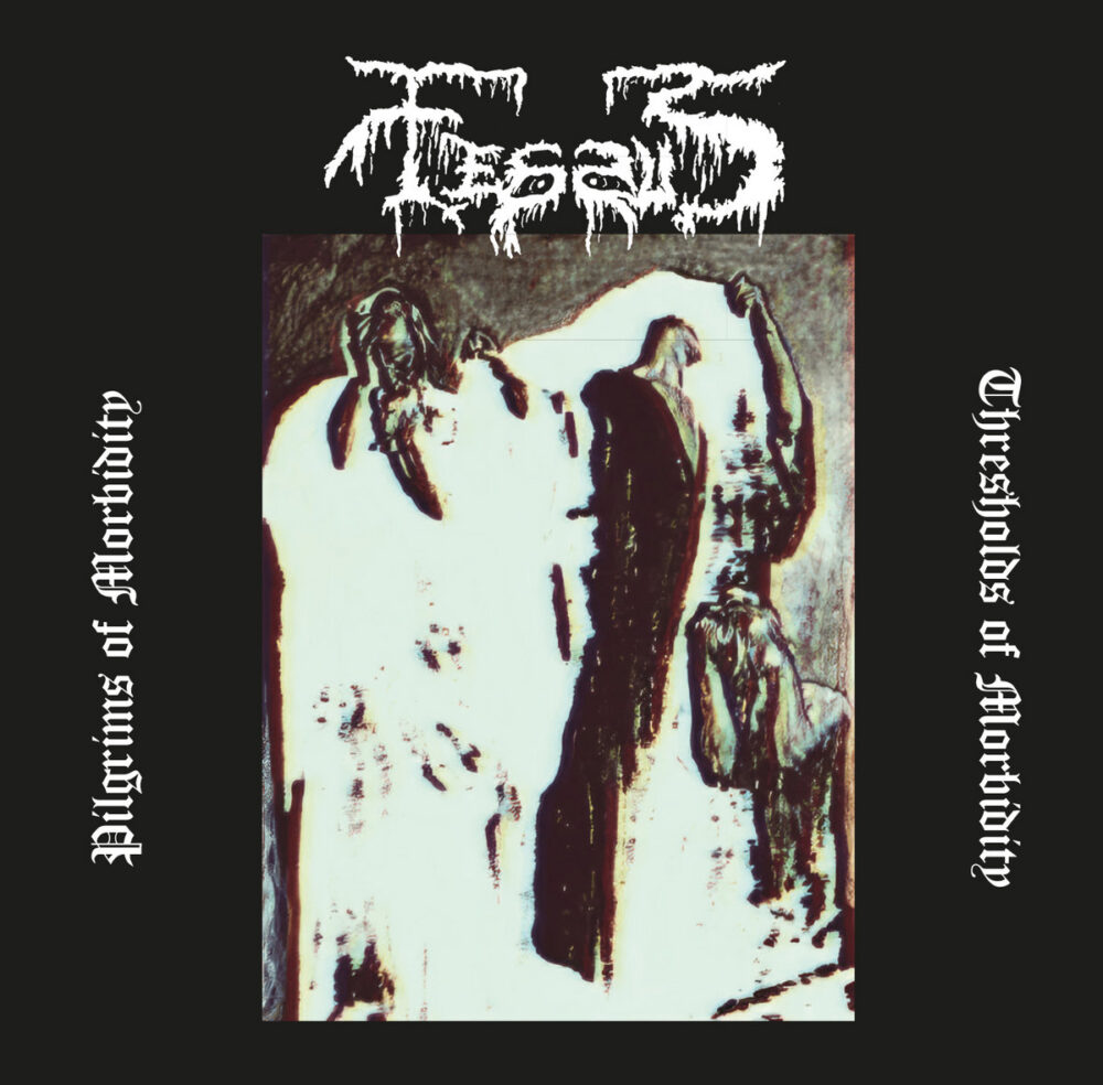 Fessus - Pilgrims Of Morbidity / Thresholds Of Morbidity