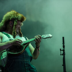 Steve 'n' Seagulls