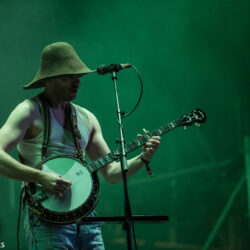 Steve 'n' Seagulls