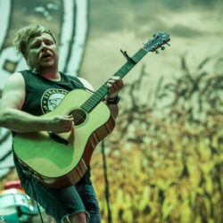 Steve 'n' Seagulls