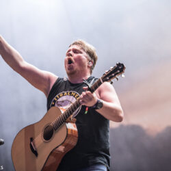 Steve 'n' Seagulls