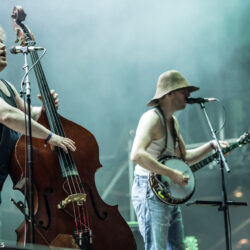 Steve 'n' Seagulls