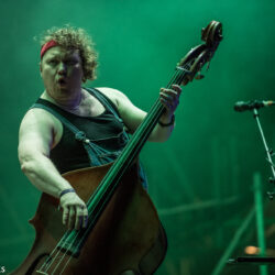 Steve 'n' Seagulls