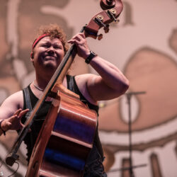 Steve 'n' Seagulls