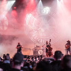 Steve 'n' Seagulls