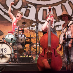 Steve 'n' Seagulls