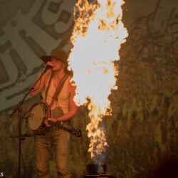 Steve 'n' Seagulls