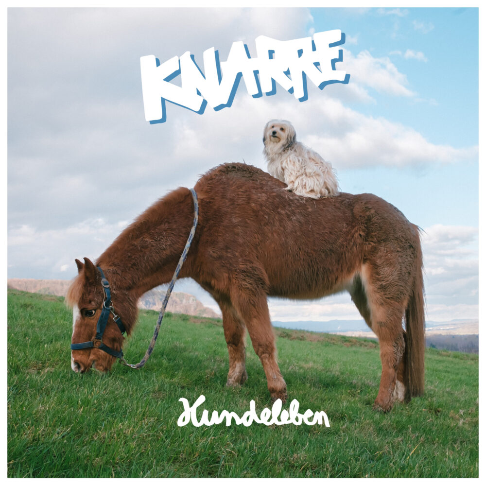 Knarre-Hundeleben