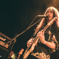 Alcest