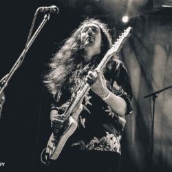 Alcest