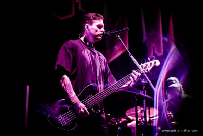 The Amity Affliction