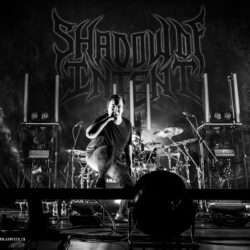 Shadow Of Intent