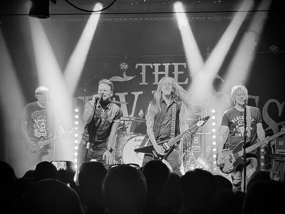 The New Roses rocken das OldCapitol