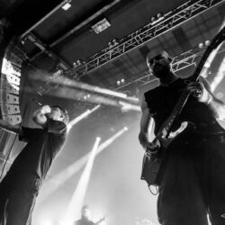 Knocked Loose