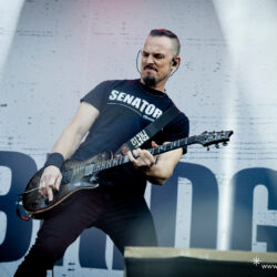 Alter Bridge
