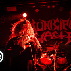Municipal Waste