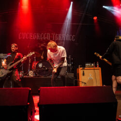 Evergreen Terrace