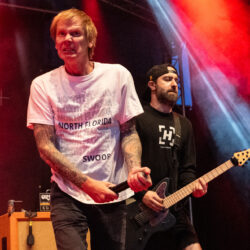 Evergreen Terrace