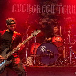 Evergreen Terrace
