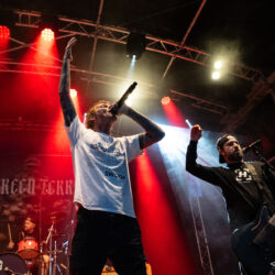 Evergreen Terrace