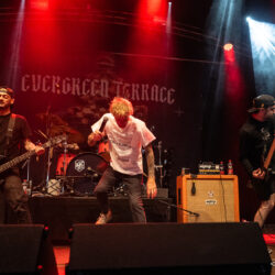 Evergreen Terrace