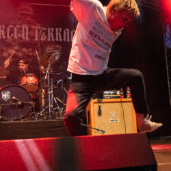 Evergreen Terrace