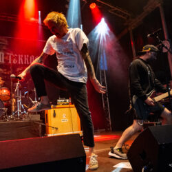 Evergreen Terrace
