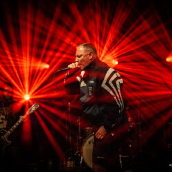 Born From Pain