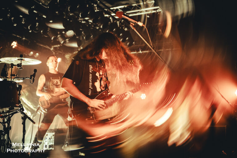 Alcest