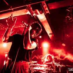 Northlane