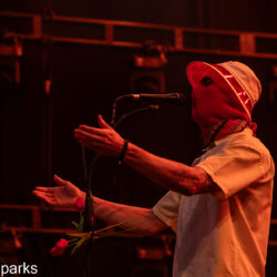Pale Jay