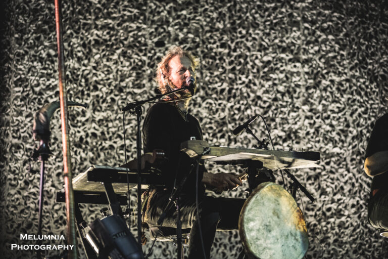 Wardruna